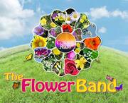 The Flower Band