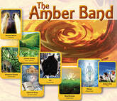 TheAmber Band Colours
